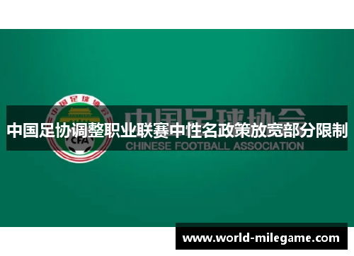 中国足协调整职业联赛中性名政策放宽部分限制