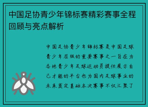 中国足协青少年锦标赛精彩赛事全程回顾与亮点解析