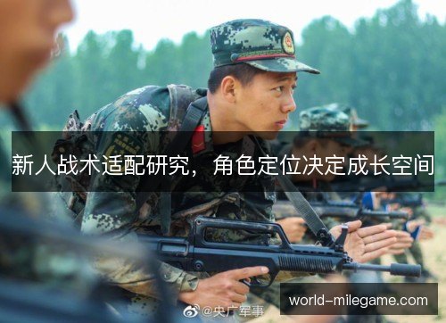 新人战术适配研究，角色定位决定成长空间